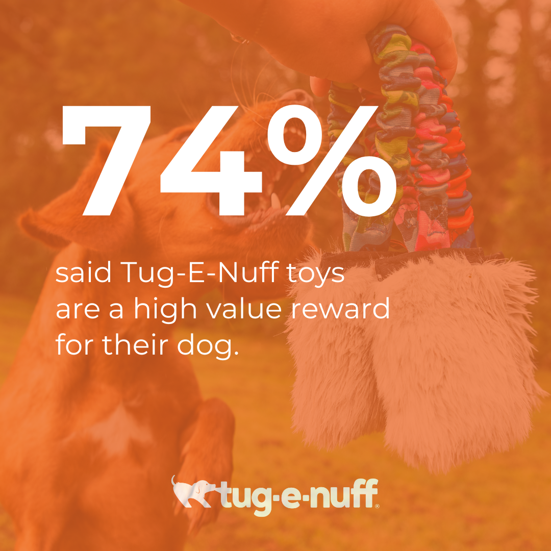 74% said Tug-E-Nuff toys are a high value reward for their dog